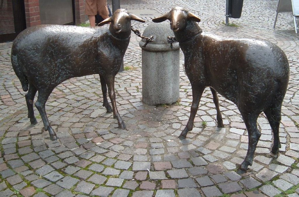 Die Schafe der Bäuerin