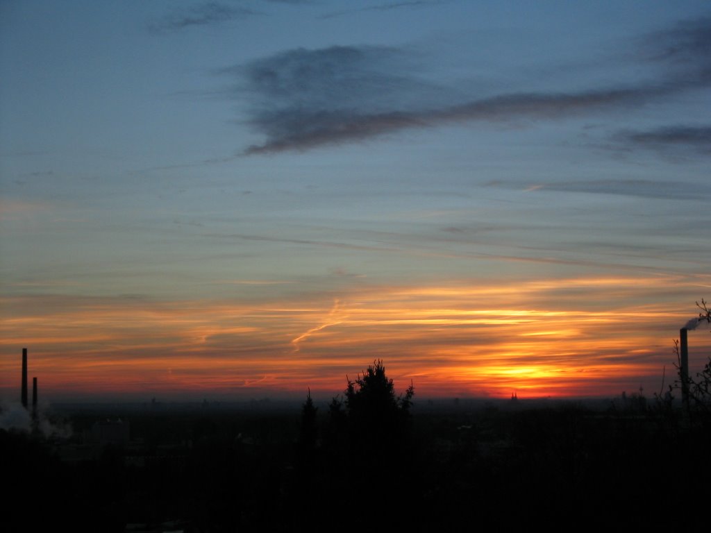Cologne Bight