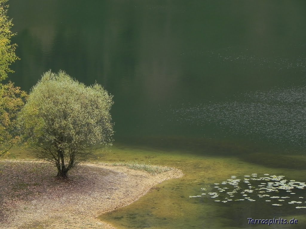 Seen der ehemaligen Grube Cox