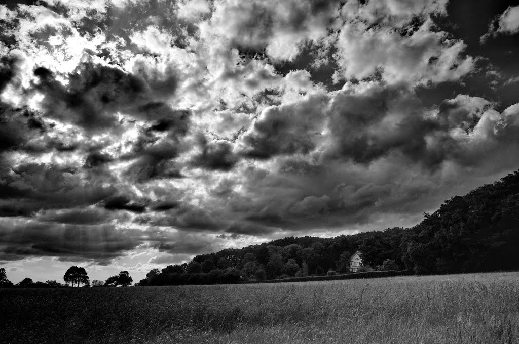 nach dem gewitter  © lophoto