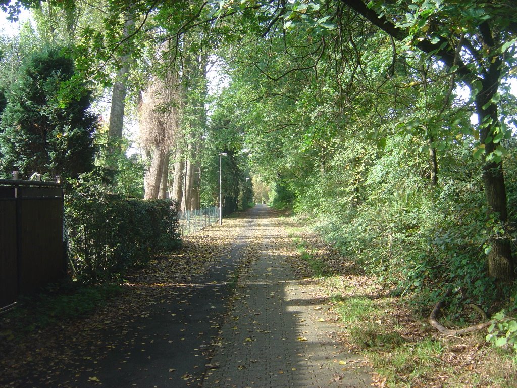 Fussgängerweg