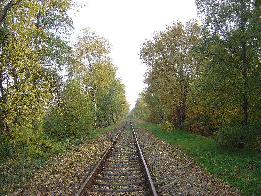 Bahndamm
