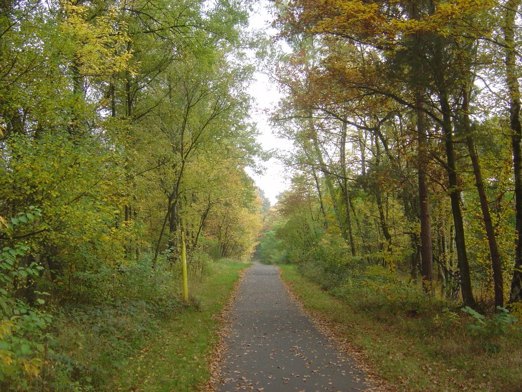 Weg am Bahndamm