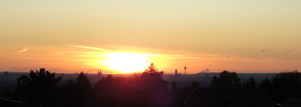 Blick auf den Kölner Dom