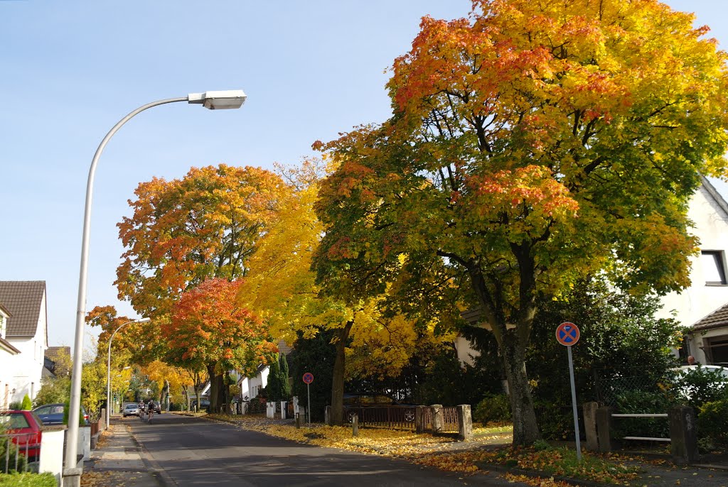 Feldstraße im Herbst
