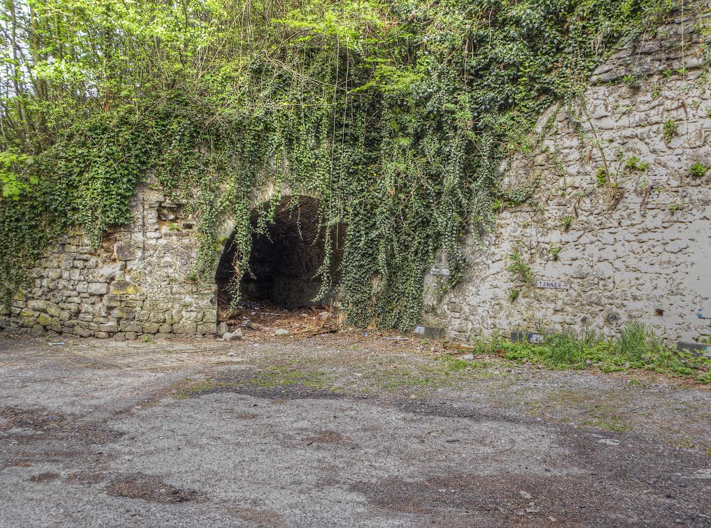 Kalköfen Cox