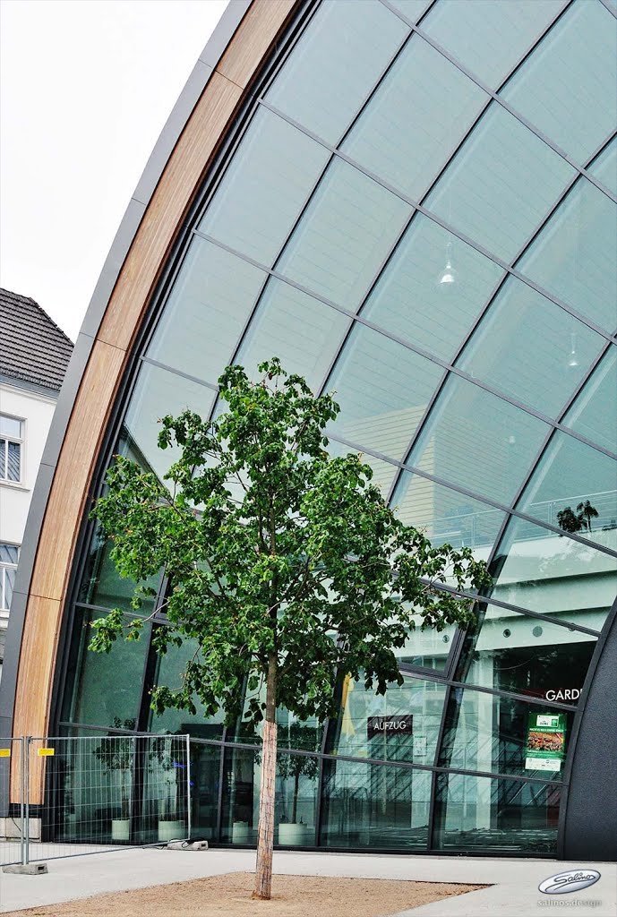 Stadtbaum – Bielefeld Stadthalle - (C) by Salinos_de NW