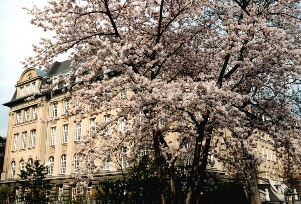 Bonner Frühling,Landw.-Kammer