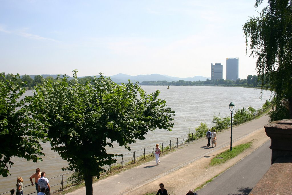 Rhine in Bonn