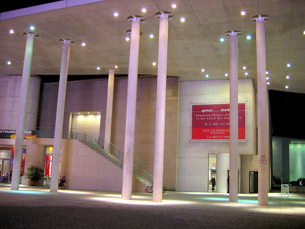 KUNTZ Museum im nacht - Art museum seen at night - musée de lart vue dans la nuit (2)