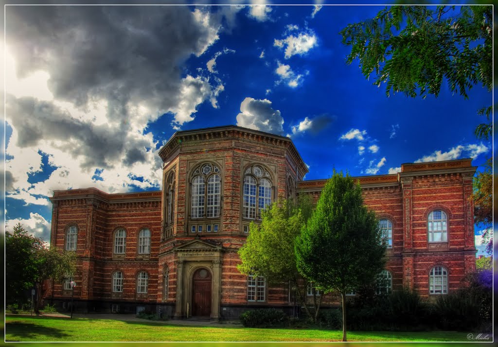 Anatomisches Institut der Universität Bonn, built 1868 - 1872