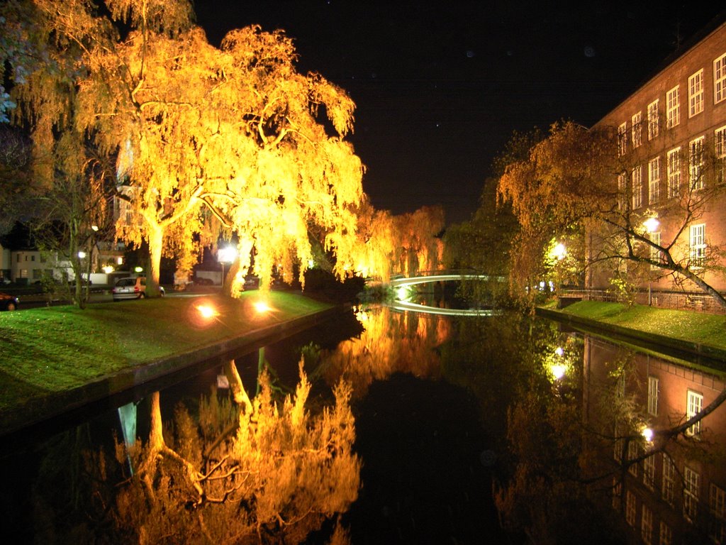 Bocholter Aa bei Nacht
