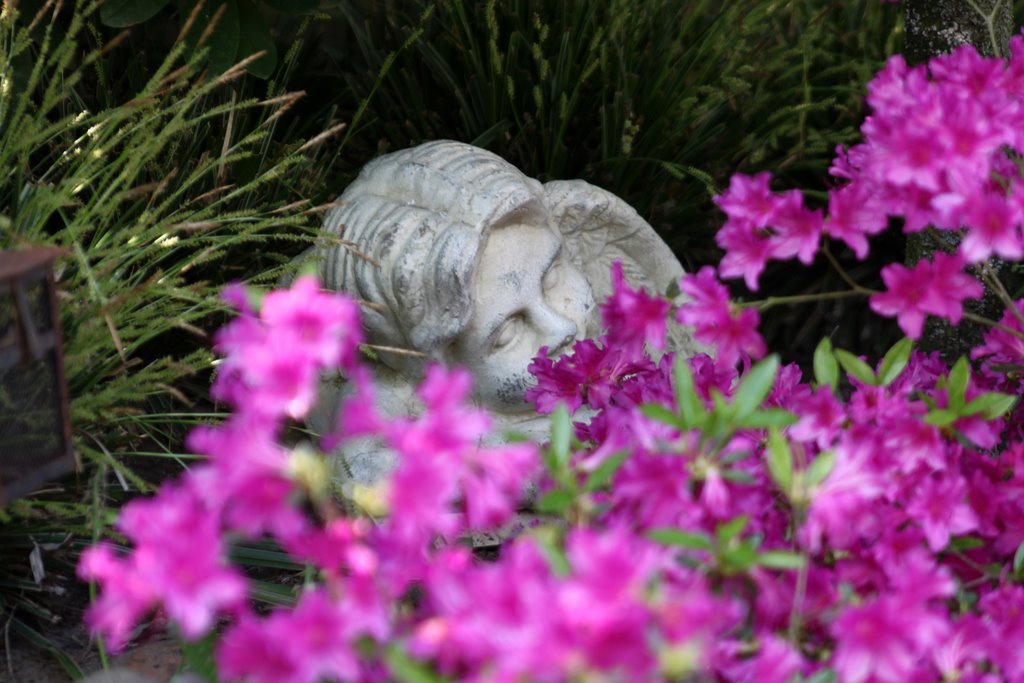 Im Garten