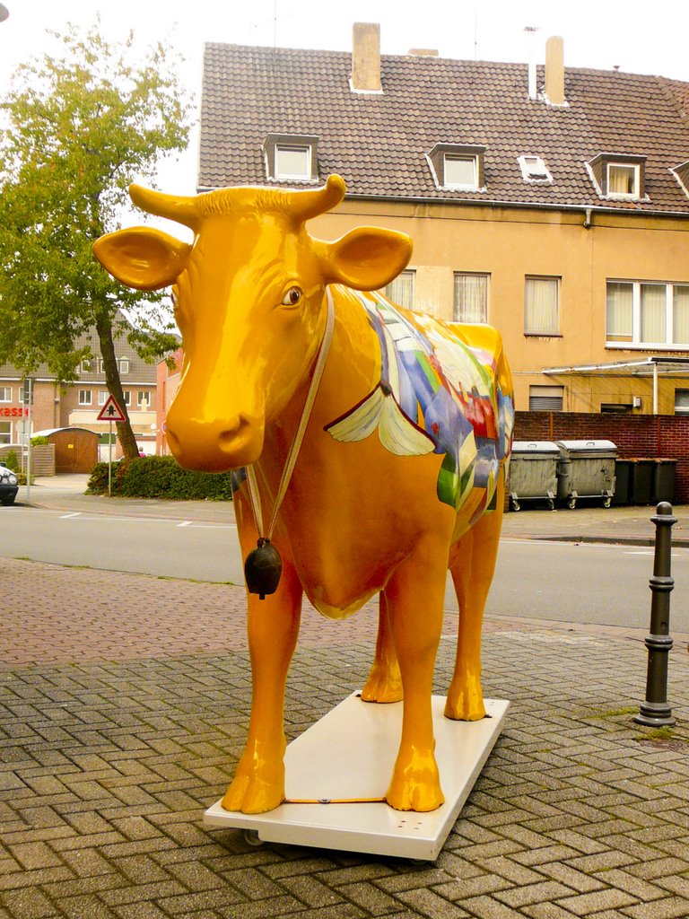 {©RH} bunte Kuh