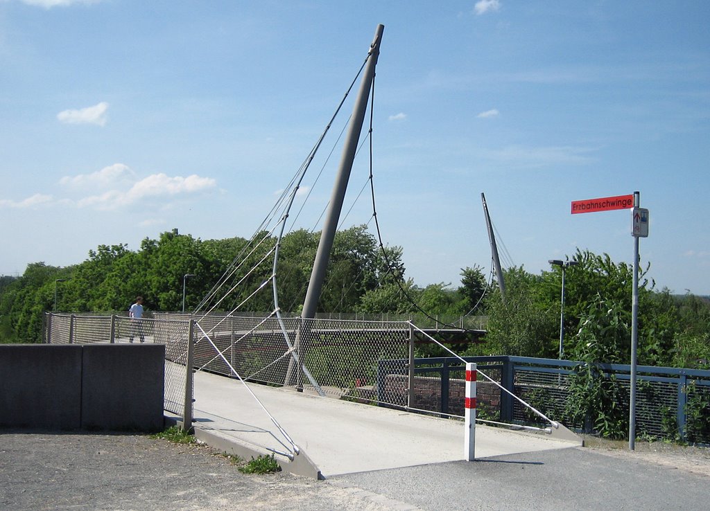 Erzbahnschwinge