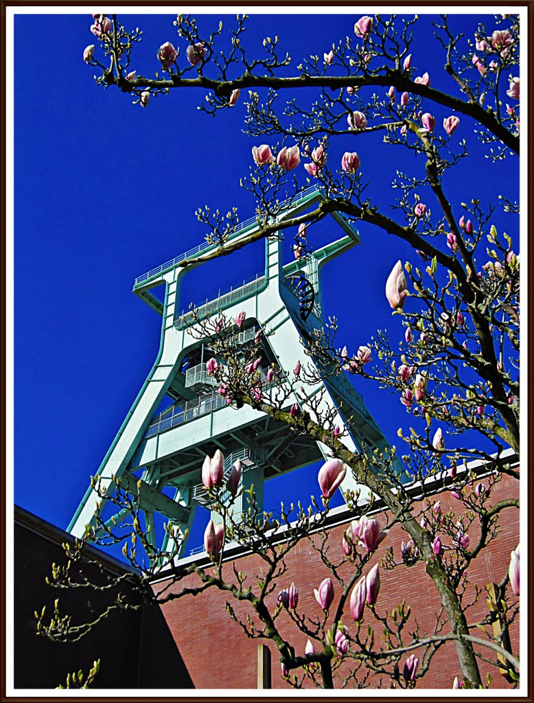 Förderturm Bergbaumuseum, Bochum (2 bo)