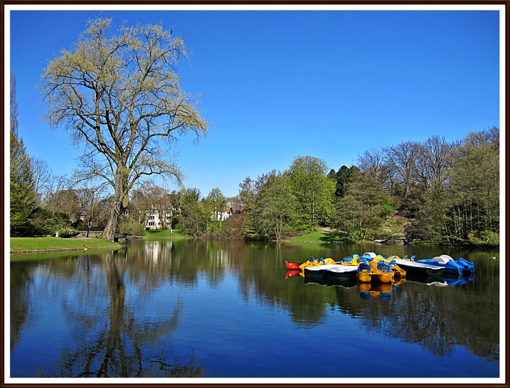 Teich im Stadtpark Bochum (2 bo)