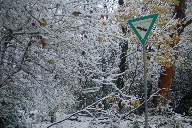 Bömmerdelle