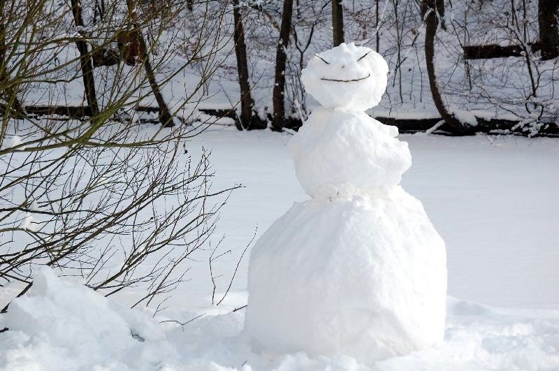 Schneemann auf dem Hammerteich