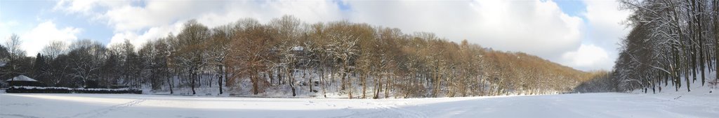 zugefrorener Hammerteich 5.1.2009
