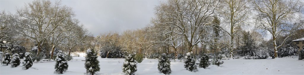 Hohenstein im Winter