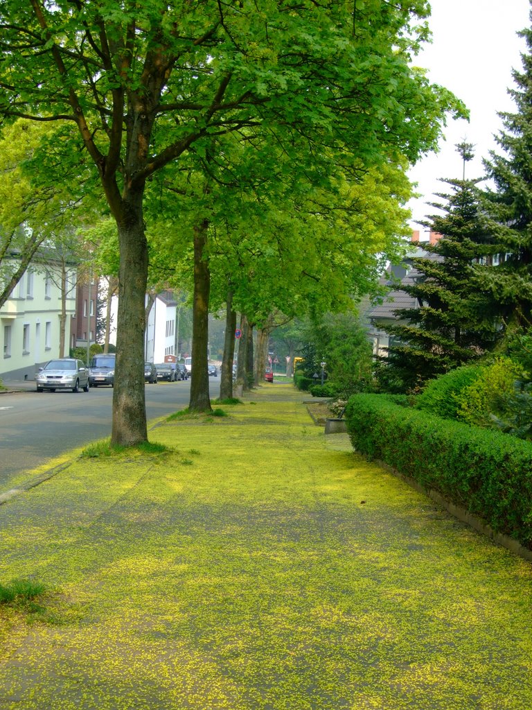 Langendreer: Frühlingserwachen