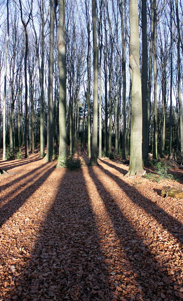 Licht und Schatten