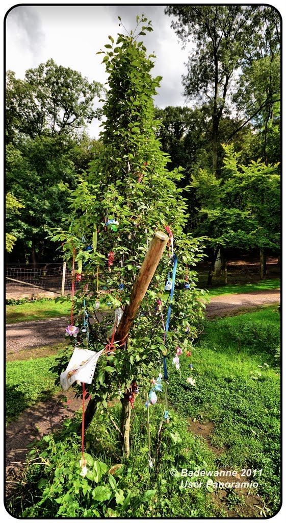 ¤{B} - Der Schnullerbaum in Witten Hohenstein
