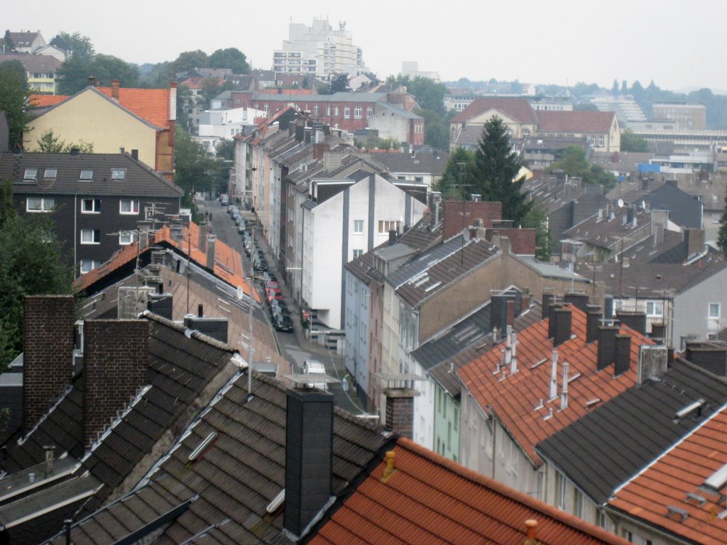 Die Dächer vom Hohenstein