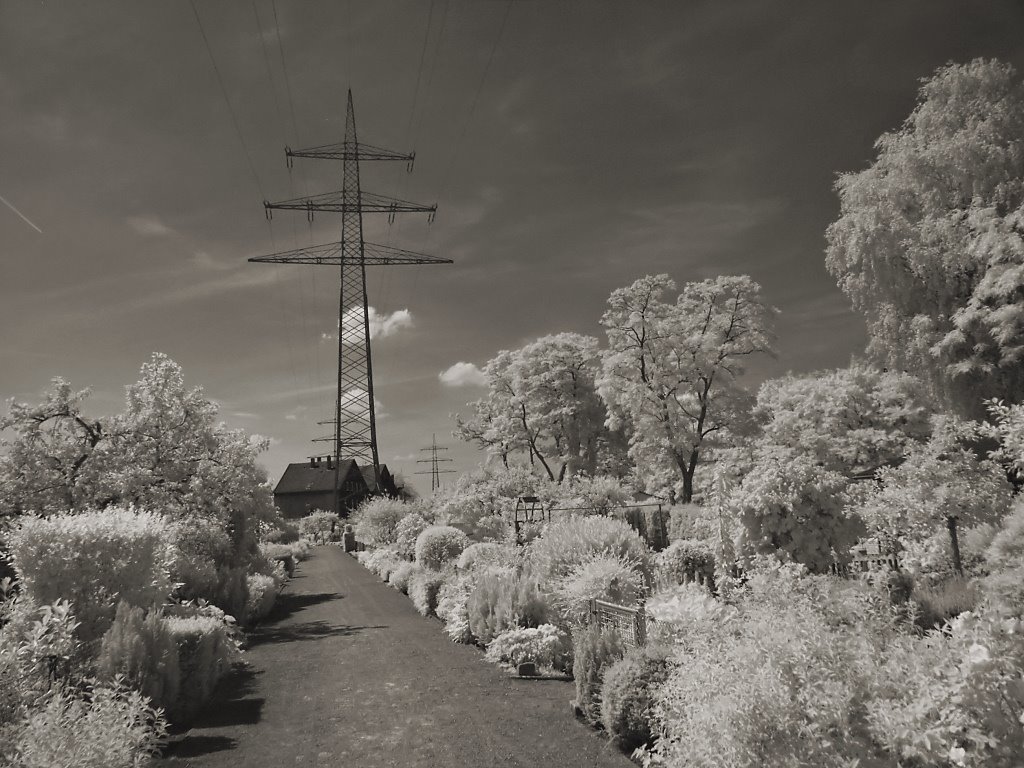 Unter Strom