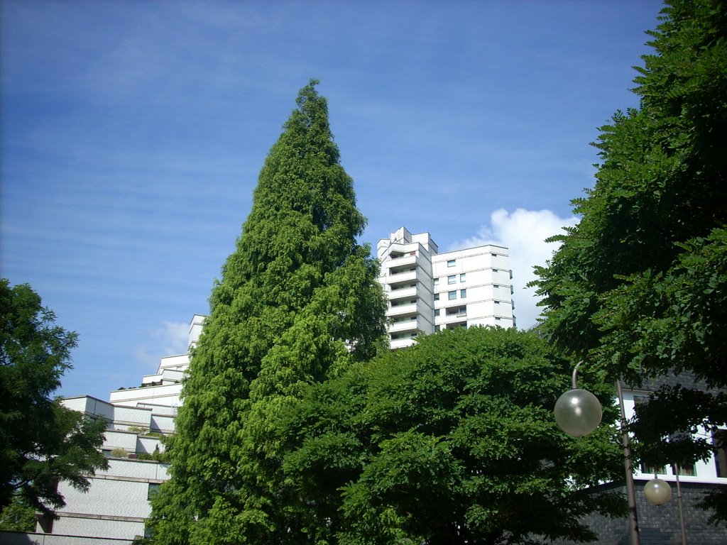 Gelsenkirchen Innenstadt 2008