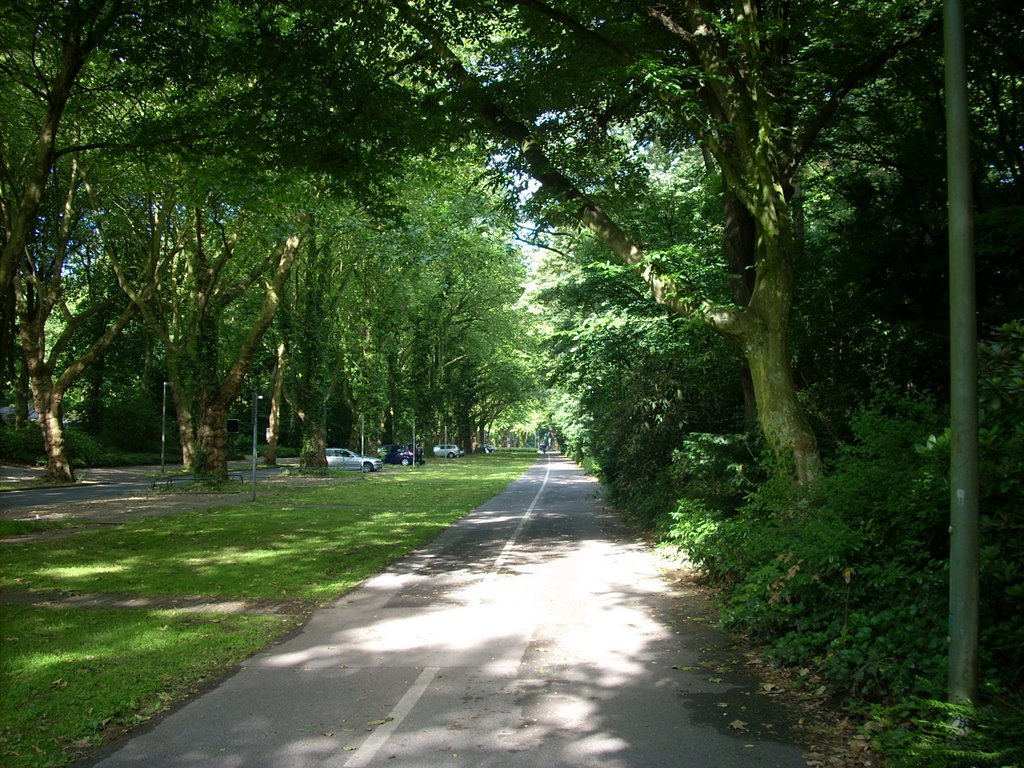 Gelsenkirchen-Altstadt  ( Stadtgarten ) Zeppelinallee.  Juni 2009