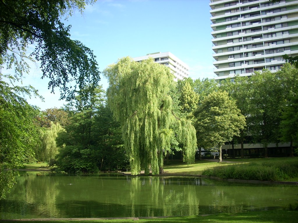 Gelsenkirchen-Altstadt   Stadtgarten  ( Maritim Hotel ) Juni 2009