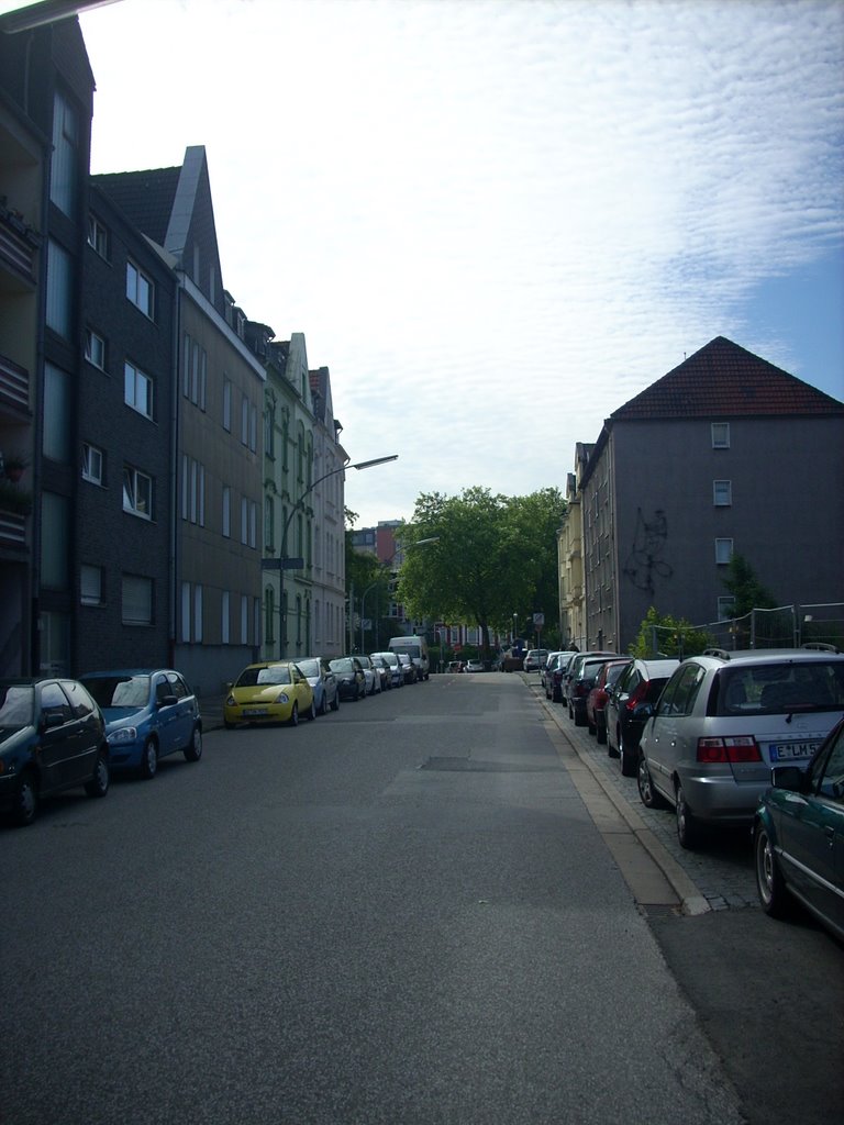 Gelsenkirchen-Altstadt  RheinischeStr.   Juni 2009