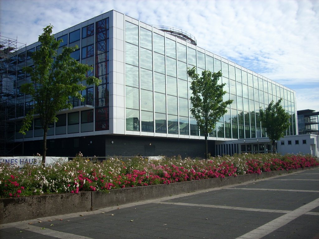 Gelsenkirchen-Altstadt  (  Musiktheater im Revier ) Juni 2009