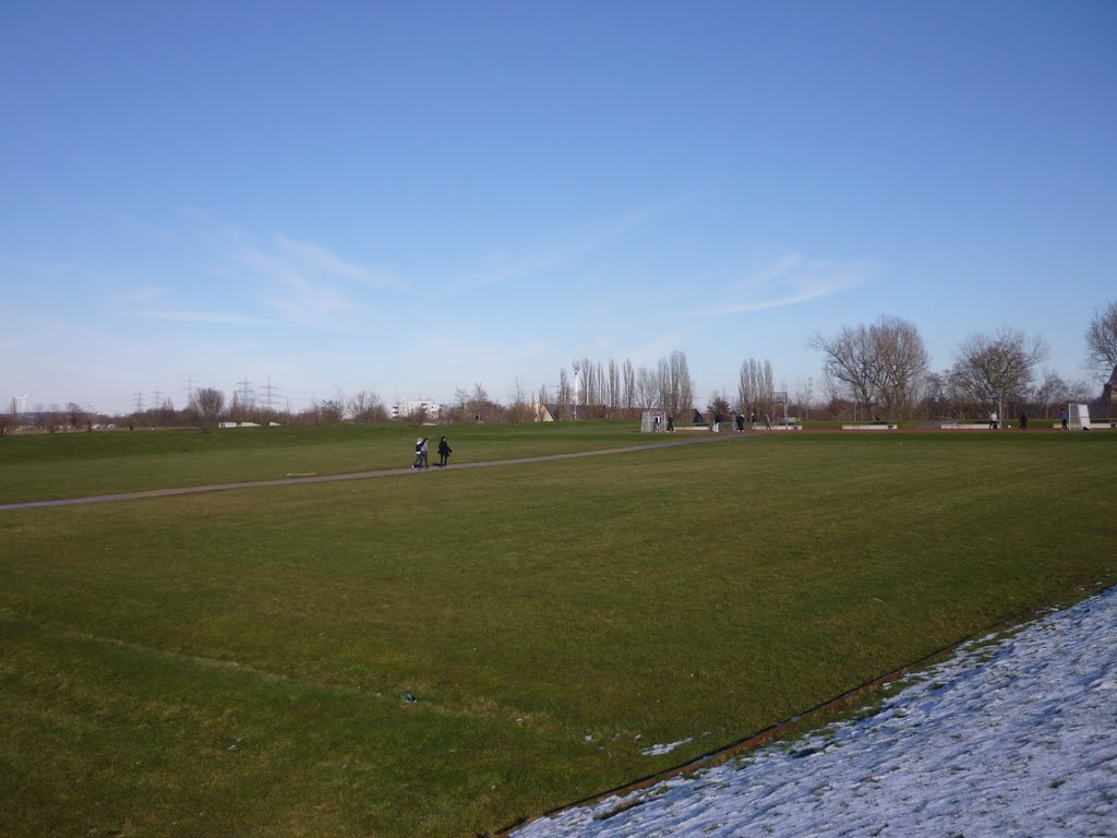 Ehemaliges Gelände der abgebrochenen Kokerei (Consol-Park, Gelsenkirchen-Bismarck) / 7.03.2010