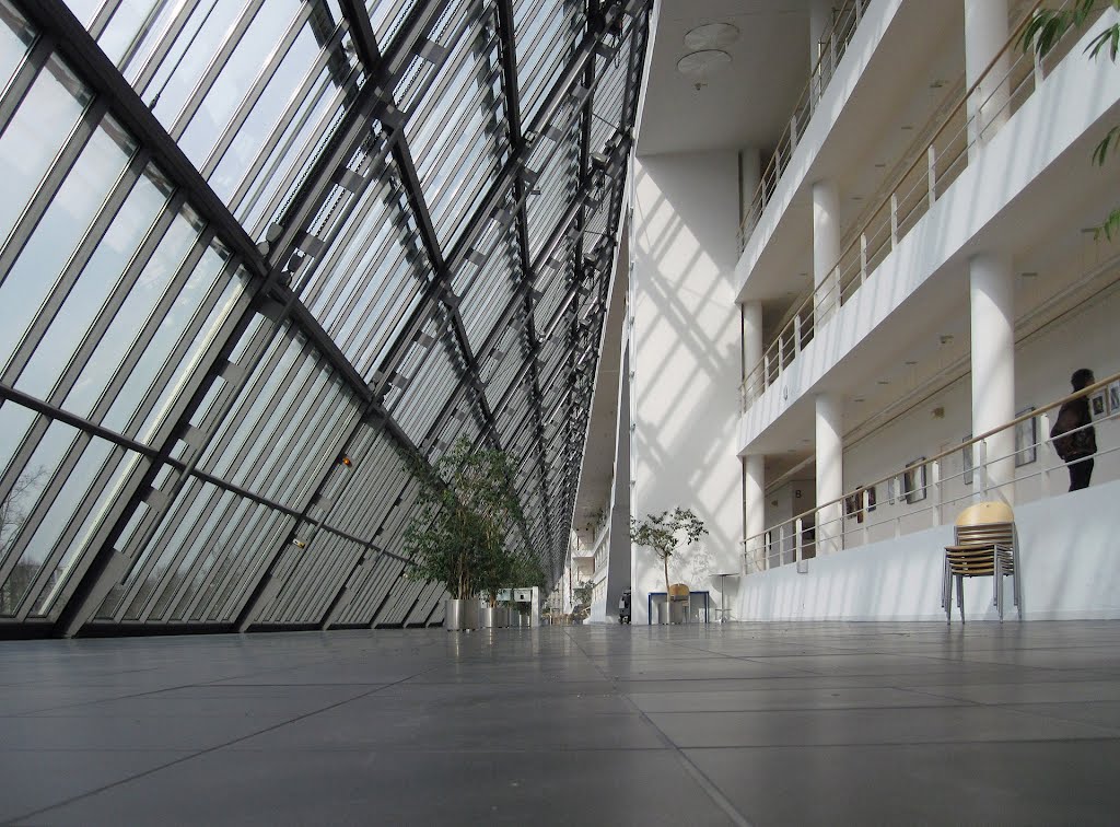 Wissenschaftsparkatrium - New View To Symmetry