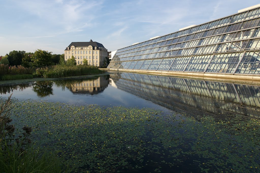 Blick über den See am Wissenschaftspark
