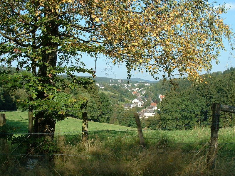 Schüttenhöhe