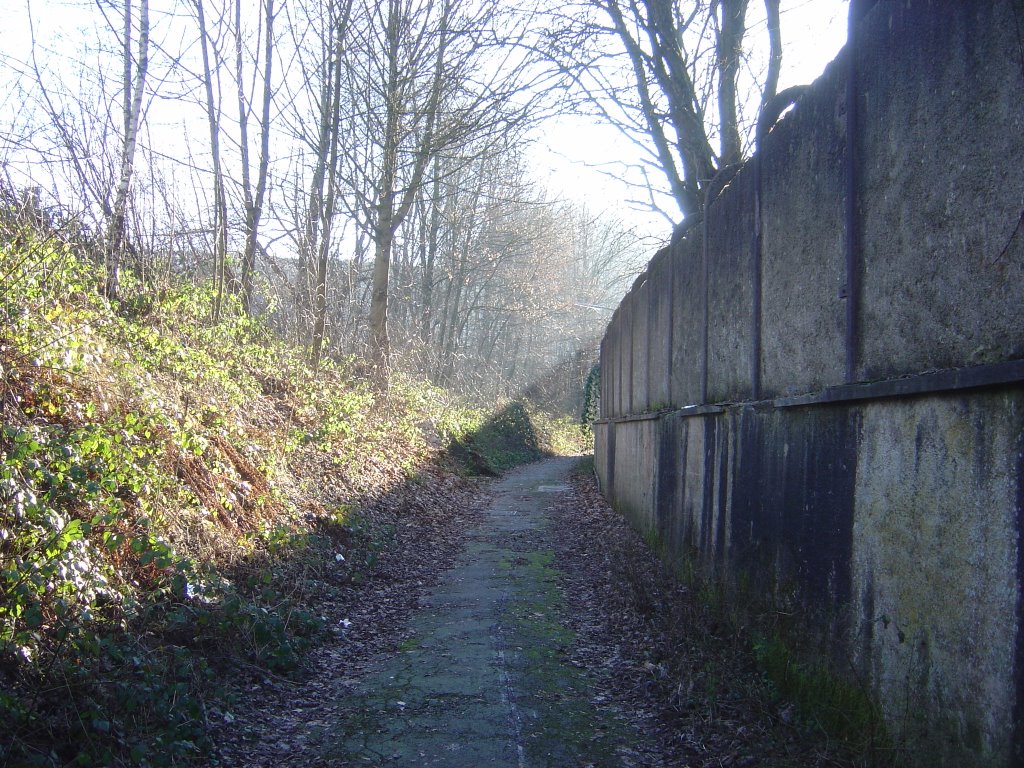 Steinmüller-Mauer