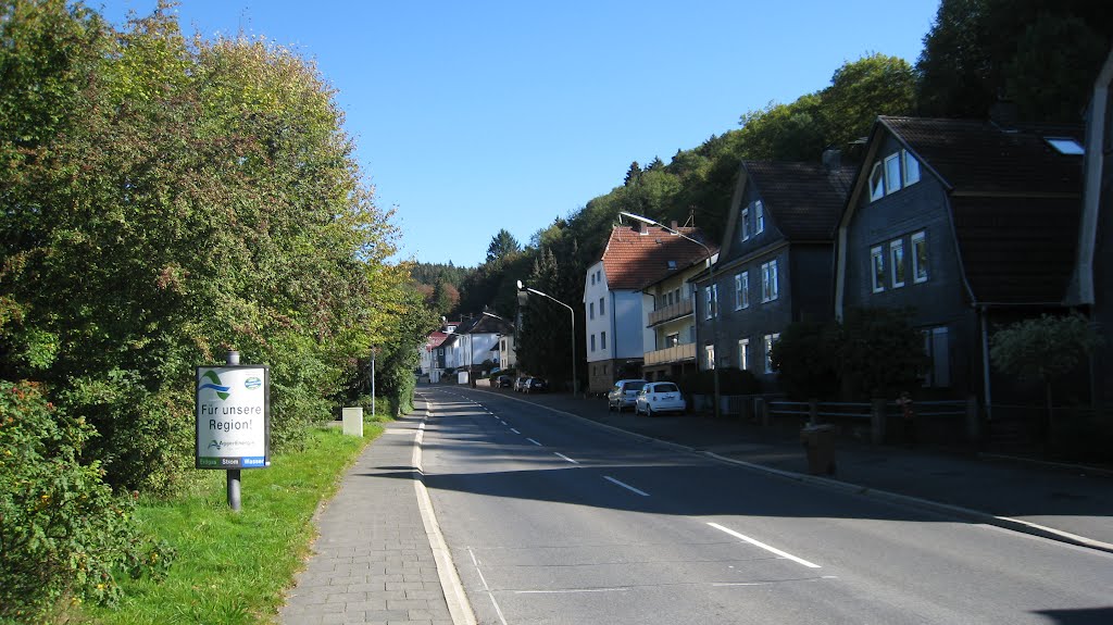 Wiesenstraße