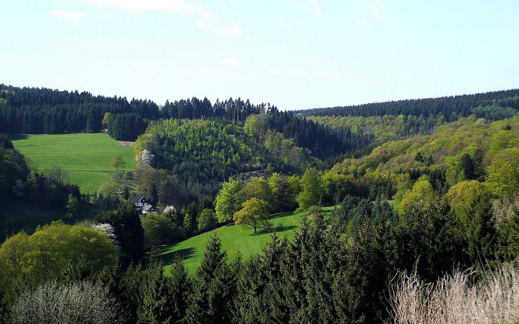 Niedernhagen