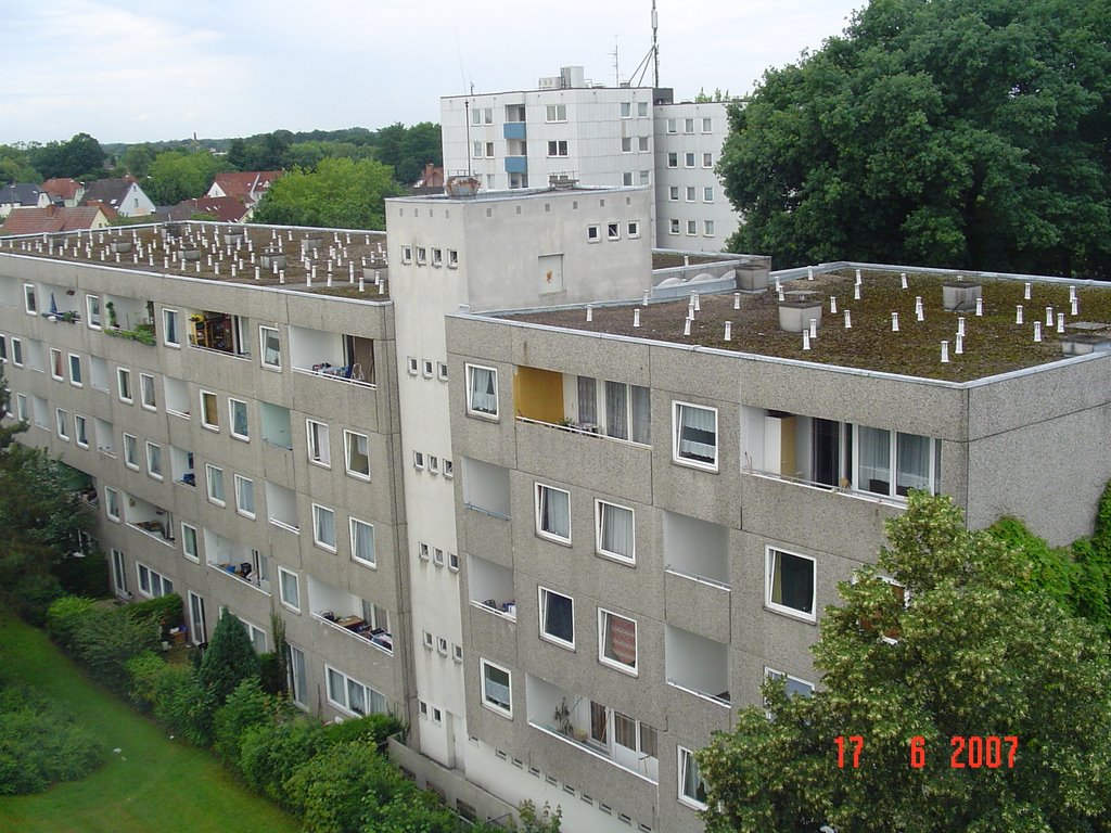 View from window2