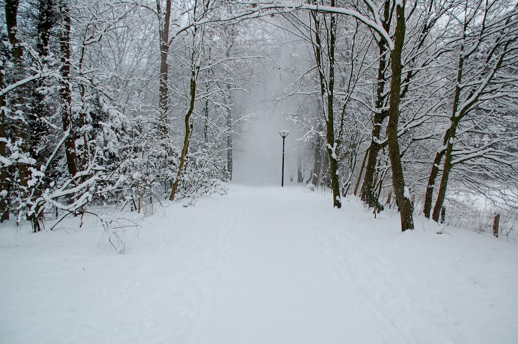 Winter im Stadtpark
