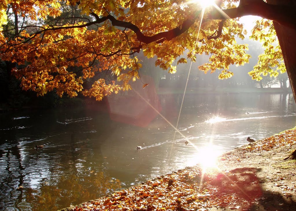 schöner herbsttag