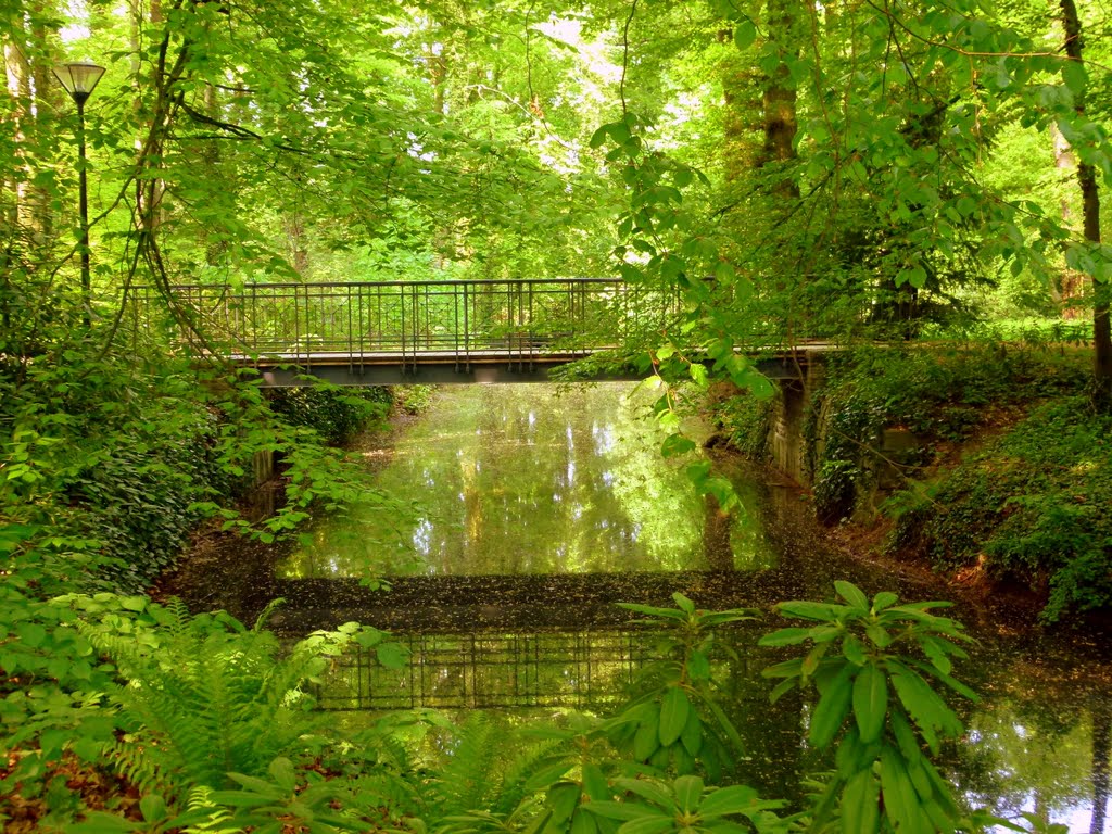 Brücke im Stadtpark
