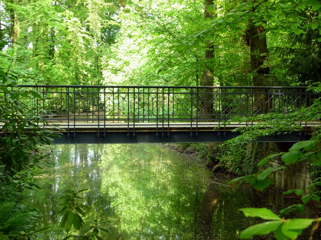 small bridge in the park