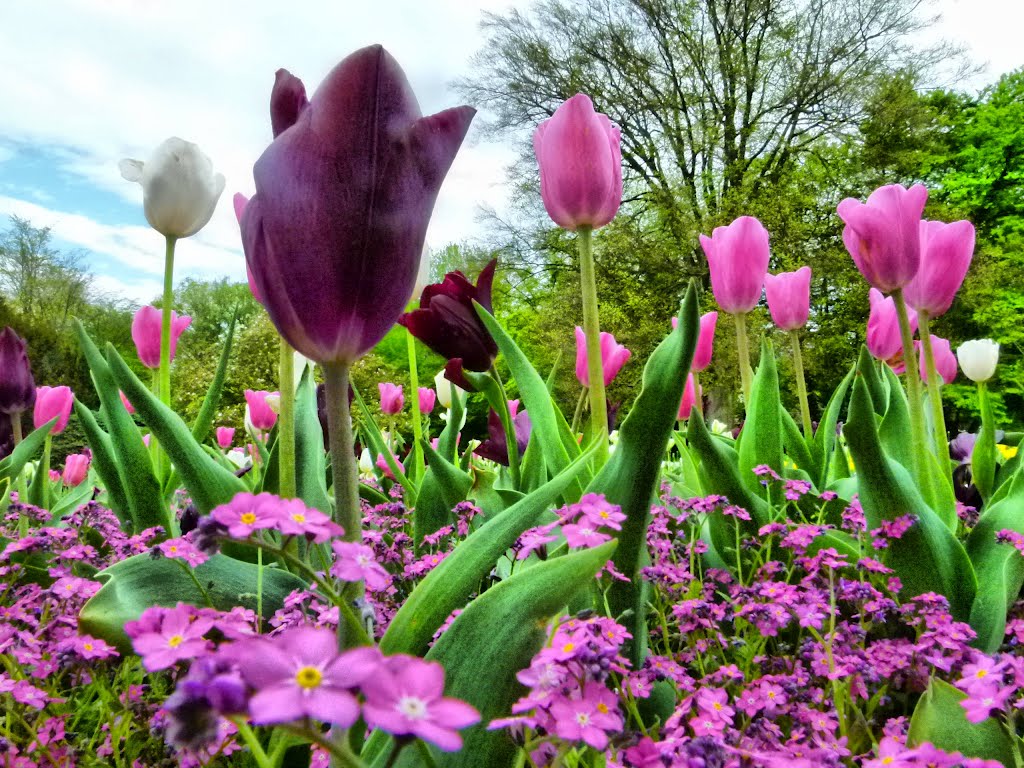Aus derselben Ackerkrume wächst das Unkraut wie die Blume