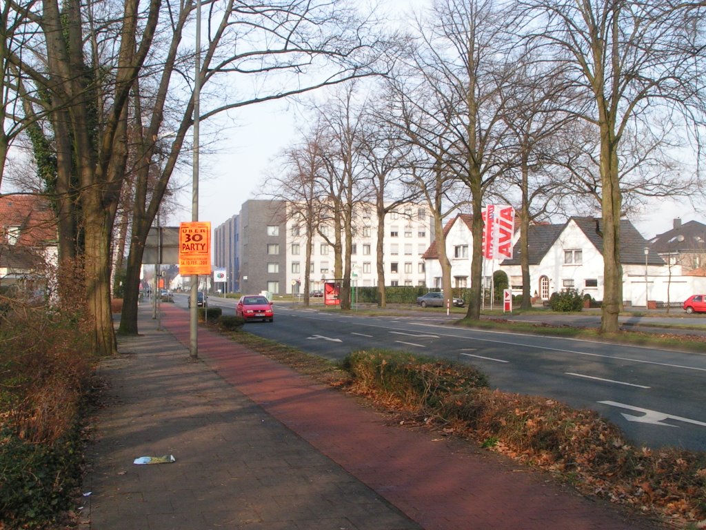 PICT0041