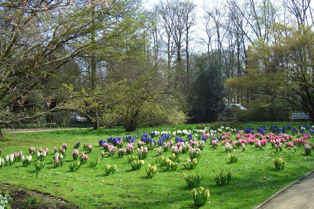 botanischer Garten